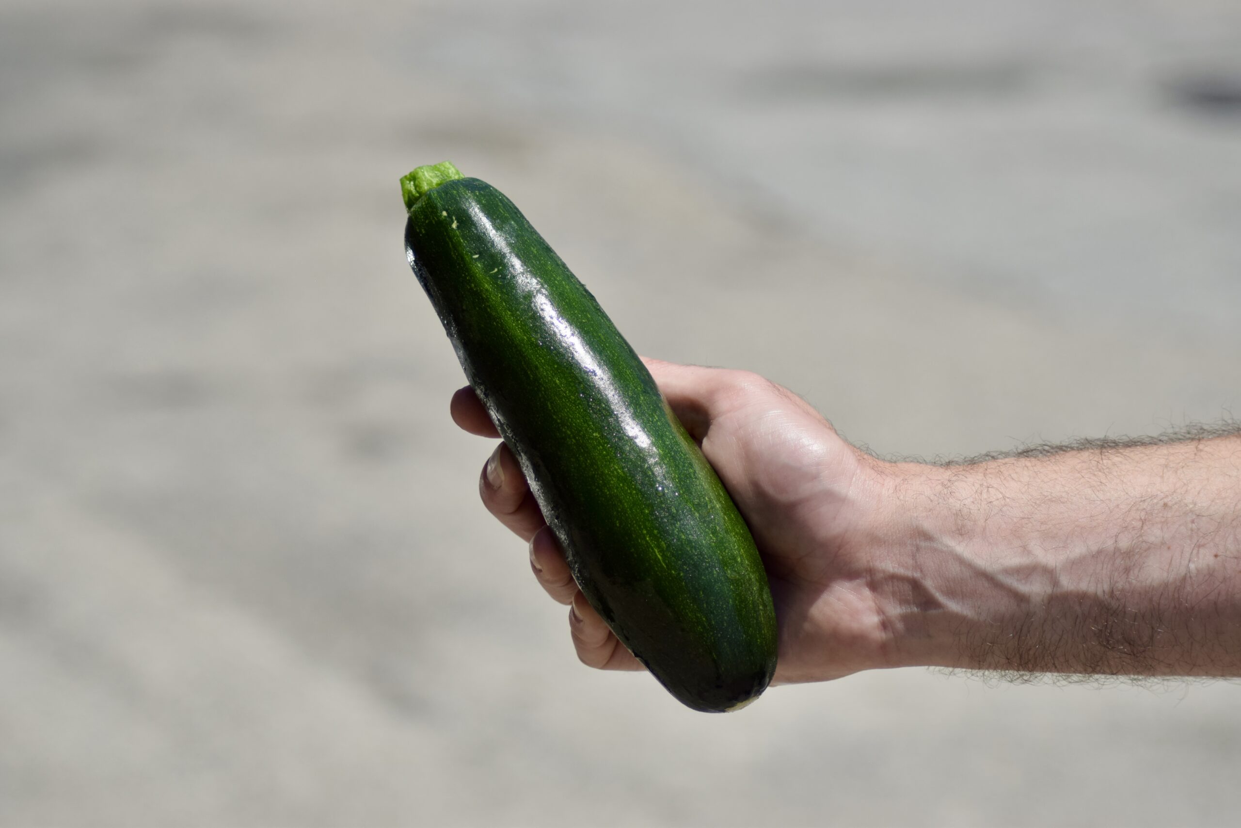 Calabacín Ecológico - Imagen 2