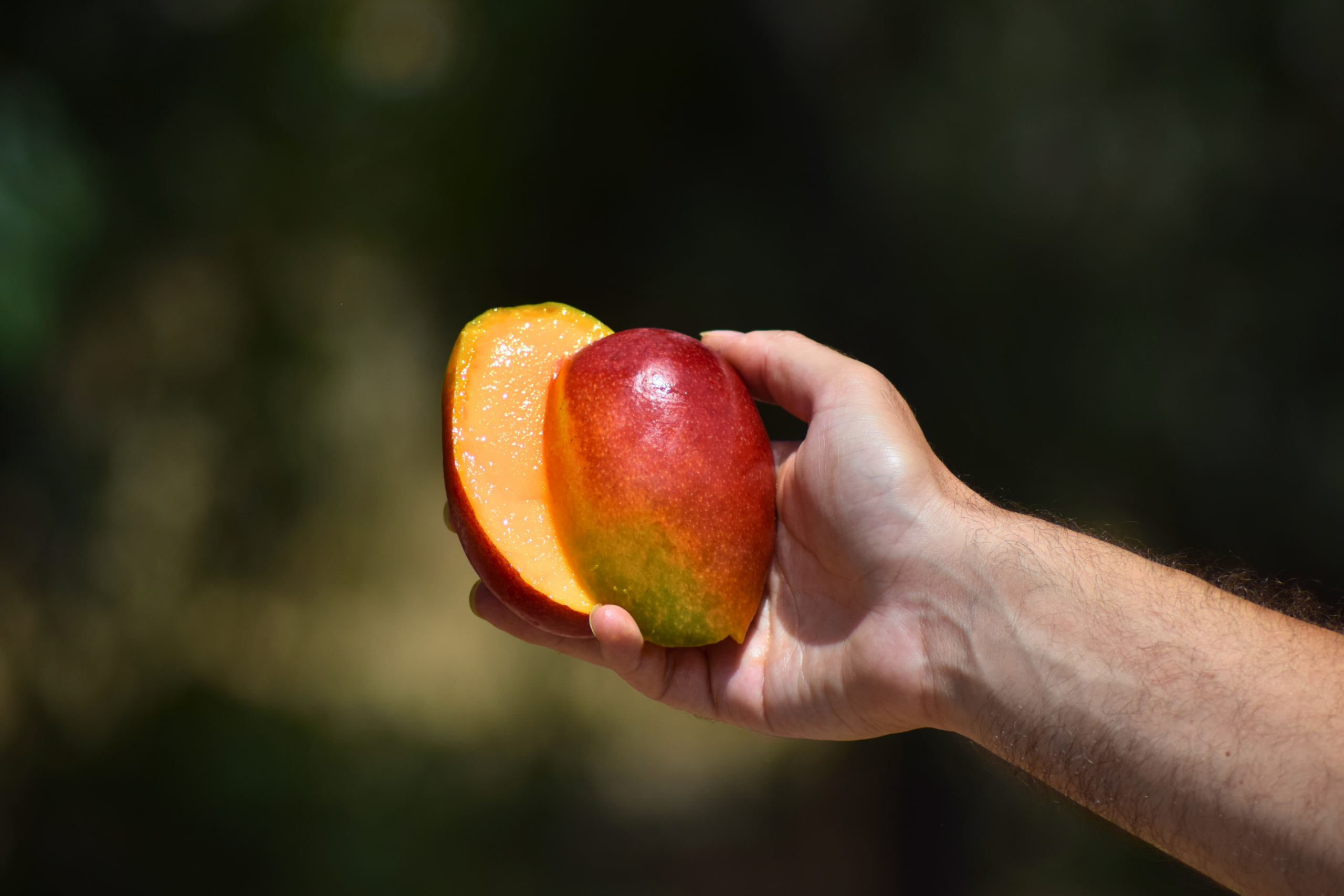 Mango Exclusivo Ecológico 1kg