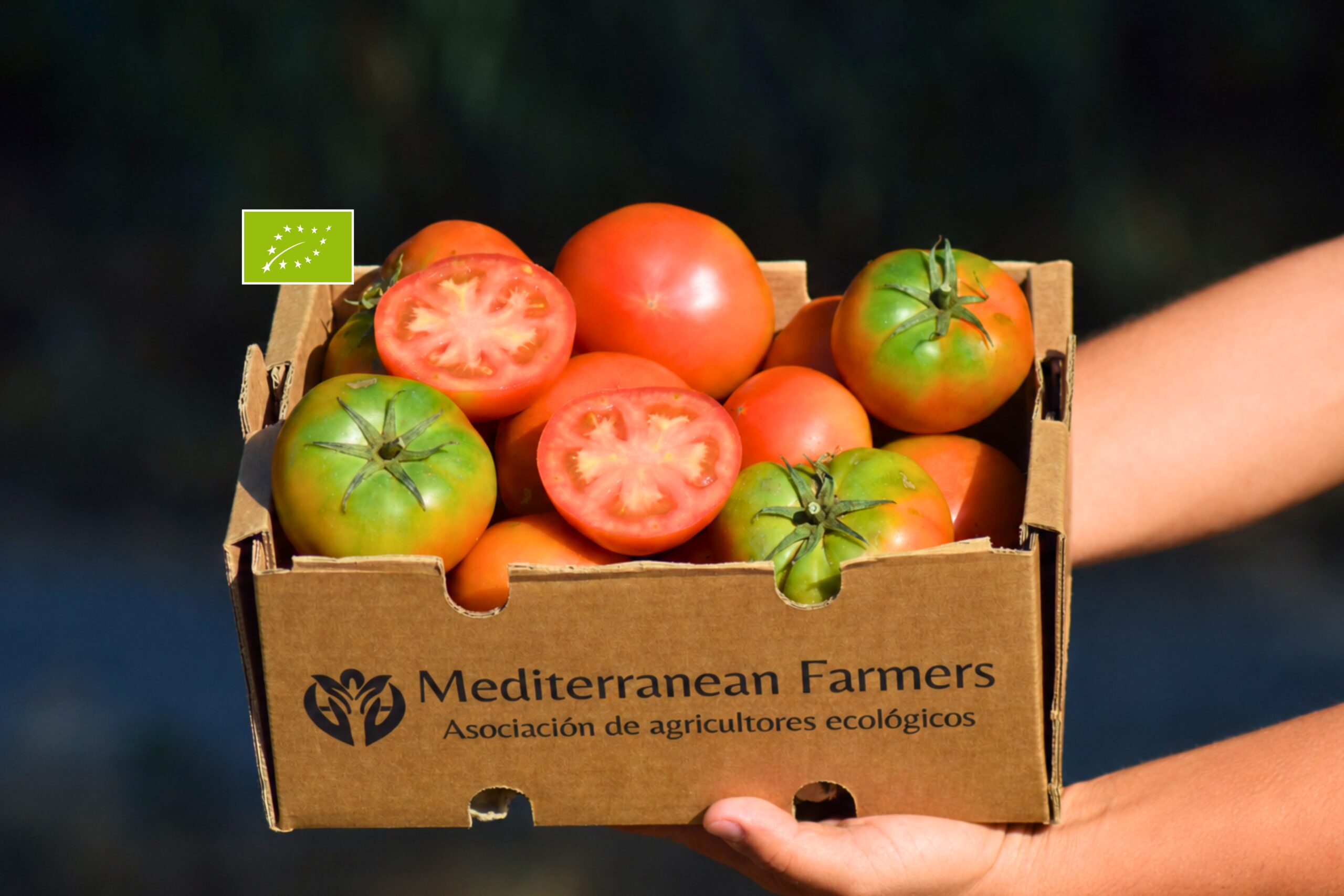 Tomate de Ensalada Ecológico