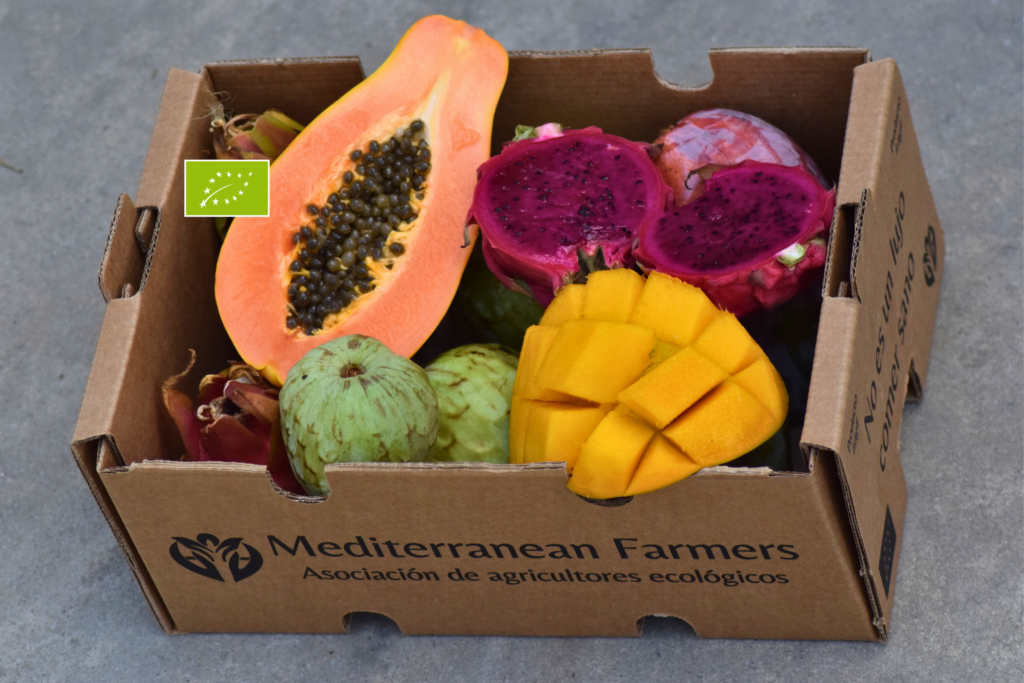 Caja Exótica Tropical Ecológica