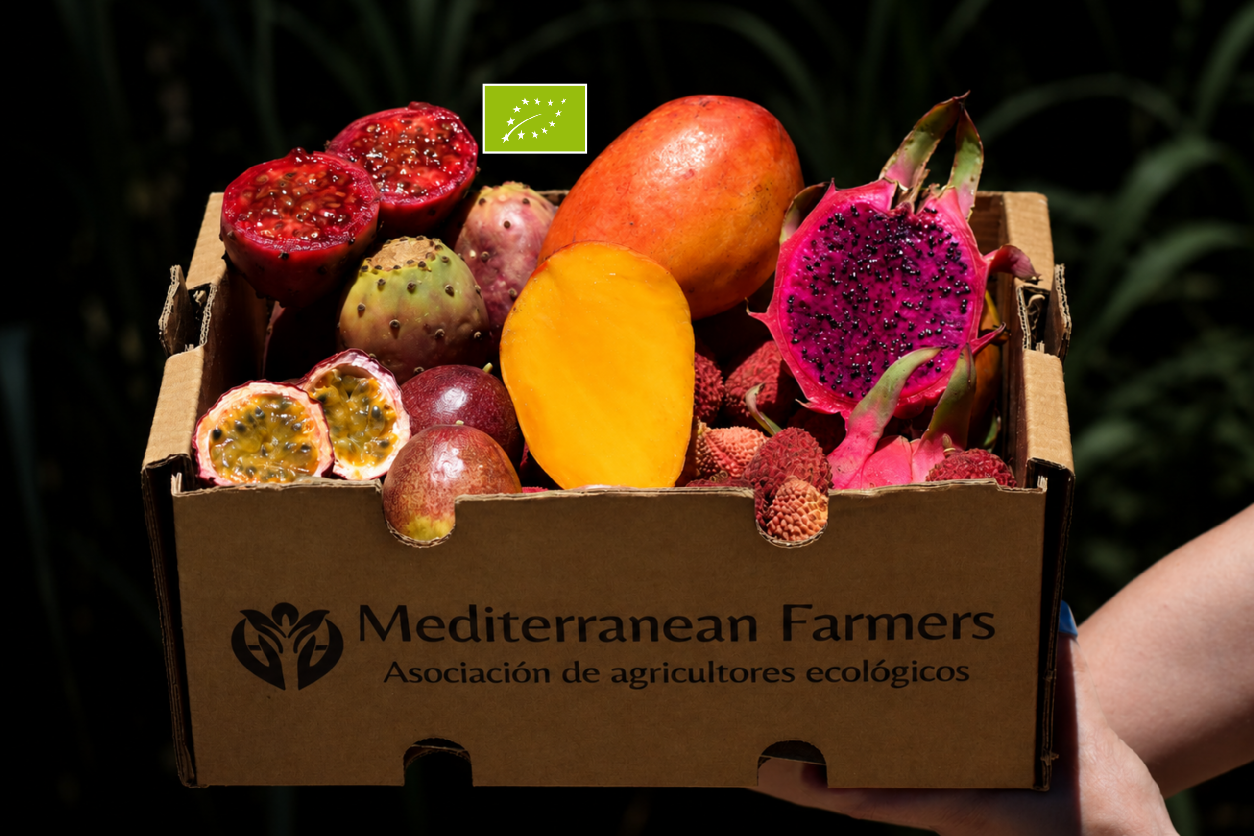 Caja Exótica Tropical Ecológica