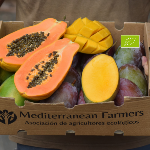 Papaya y Mango Osteen ecológicos cultivados en la Axarquía de Málaga, una combinación de frutas tropicales dulces y jugosas de agricultores locales.