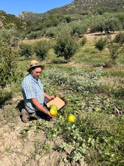 Descubre productos ecológicos únicos, recién cosechados por agricultores que reciben un precio justo por su trabajo.